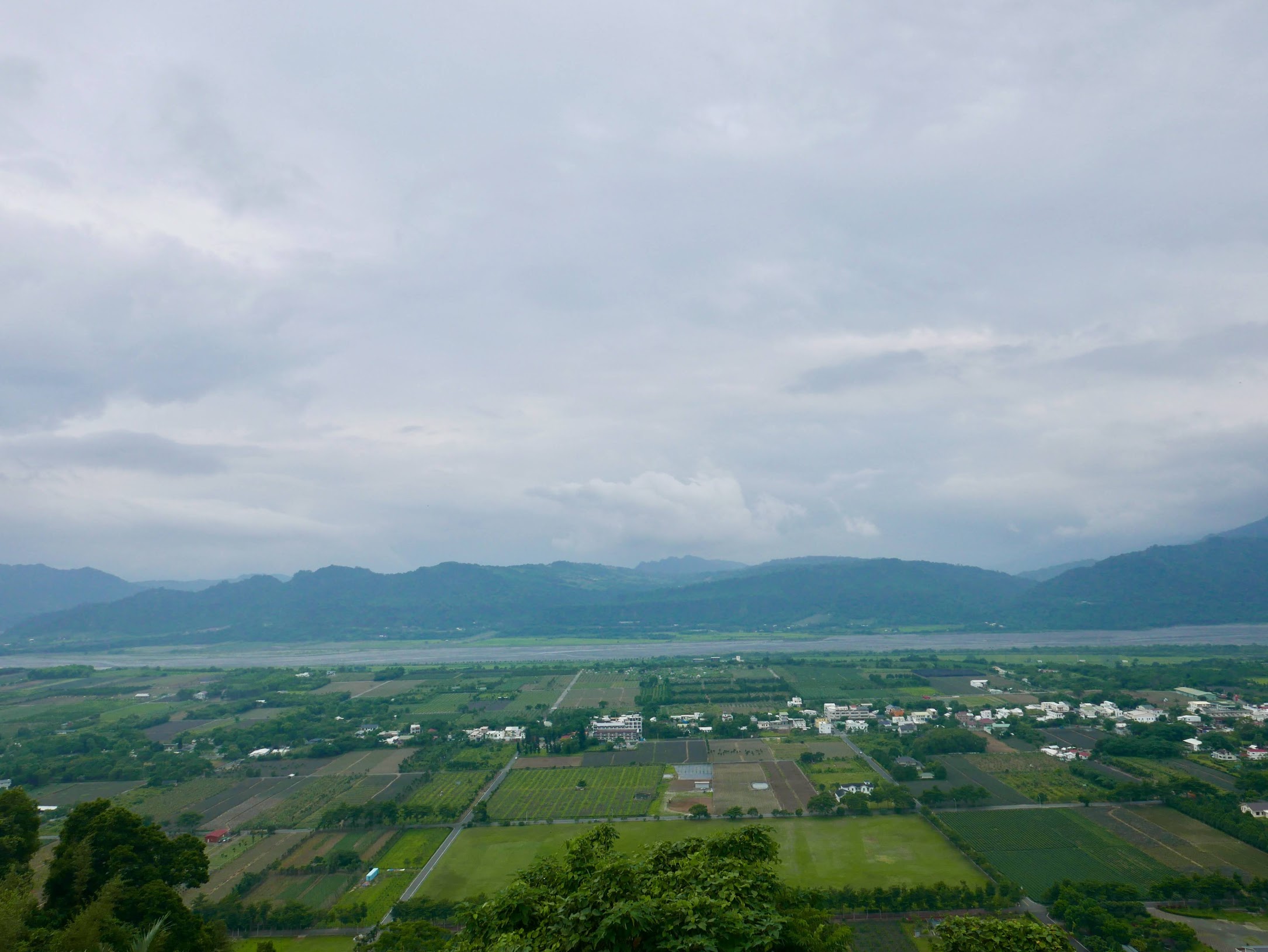 台東縣鹿野鄉 鹿野高台