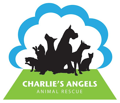 charlies angels logo. charlies angels logo.