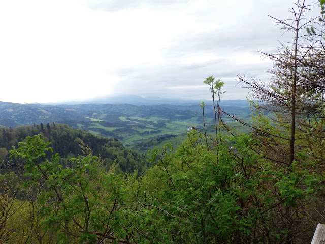 Widok z Wysokiej 1050 m.n.p.m.