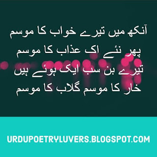 Romantic Poetry in Urdu Shayari