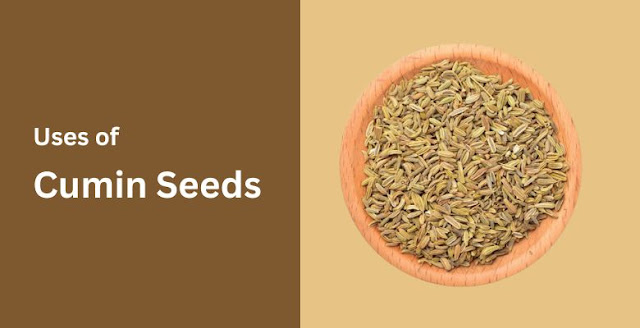 Uses of cumin seeds