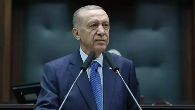 Erdoğan proposes peace conference for Israeli-Palestine conflict