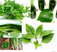 Jenis tanaman Herbal Berupa Daun mint, Daun Seledri dan Daun sirih