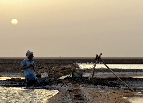 My name is Salt, de Farida Pacha (Suiza, India, 2013)