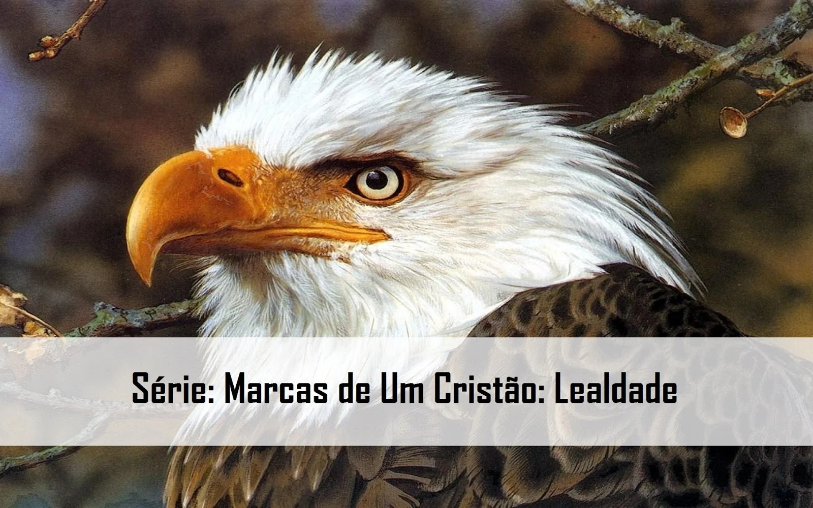 Série: Marcas de Um Cristão: Lealdade