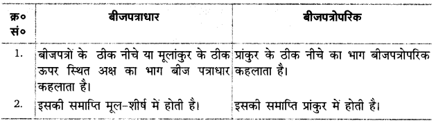 Solutions Class 12 जीव विज्ञान Chapter-2 (पुष्पी पादपों में लैंगिक प्रजनन)