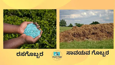 Class 8 Science Chapter 1 Question Answer Crop Production and Management in Kannada Medium