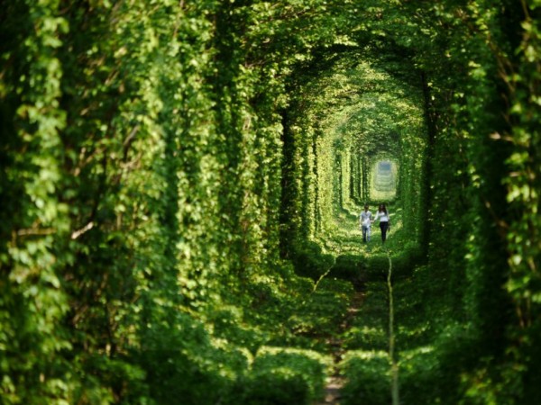 Tunnel of Love - a beautiful spot in Klevan, Ukraine. 