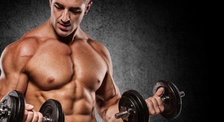12 Benefits A Well-Planned Strength Training Program for Body Fitness