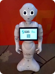SAS Robot