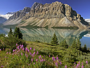 Alberta (Canada) (bow lake and flowers banff national park alberta canada pictures)