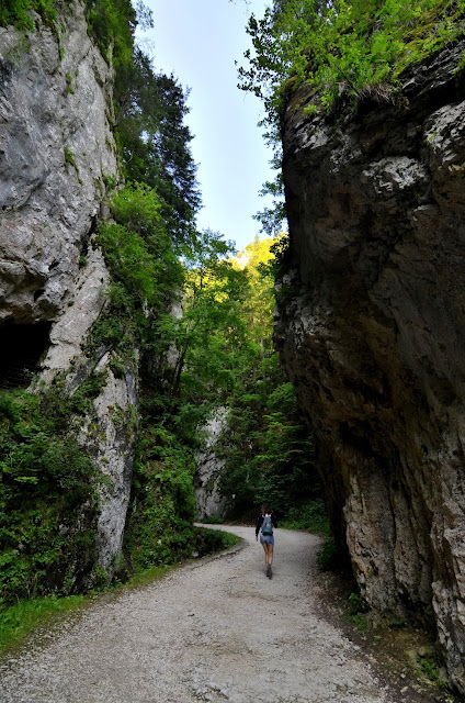 Piatra Crailui Carpatos Rumania Zarnesti Curmatura Botorog Magura