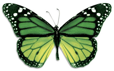Green Butterfly Pictures