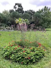 Plant in Battersea