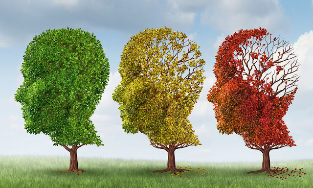 Παγκόσμια Ημέρα Αλτσχάιμερ: Ποια είναι τα συμπτώματα - Πώς μπορείτε να προστατευτείτε