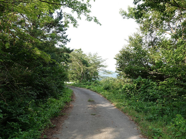 香取の牧草地の農道