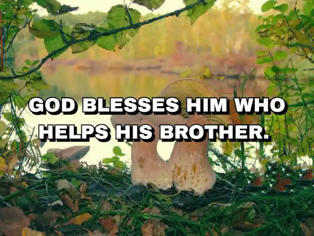 God blesses him who helps his brother.