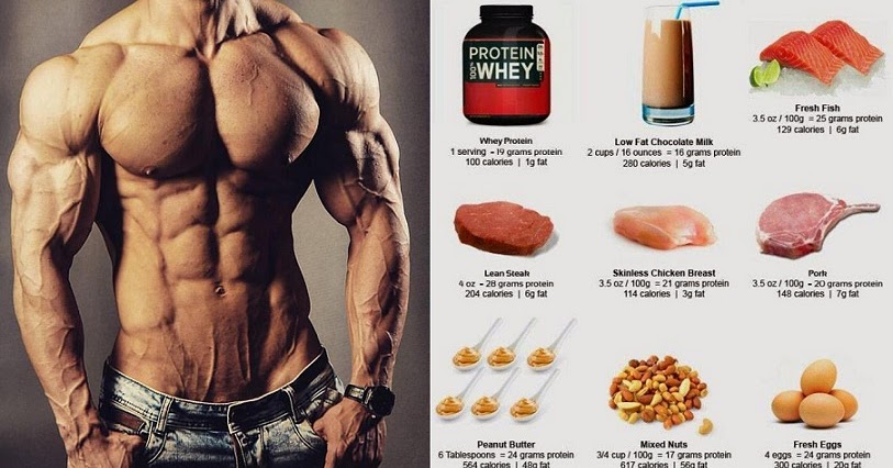 High Protein Muscle Building Foods You Must Start Eating - Bodydulding