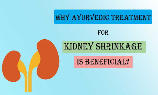 Why Ayurvedic Treatment For Kidney Shrinkage Is Beneficial?