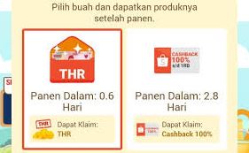 Cara Mendapatkan THR Shopee