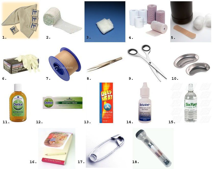 Rasnadiya: apa ada dalam "FIRST AID KIT"