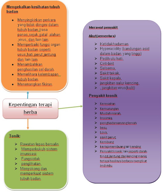 TERAPI UNTUK MURID PENDIDIKAN KHAS: TERAPI HERBA (G5.7)