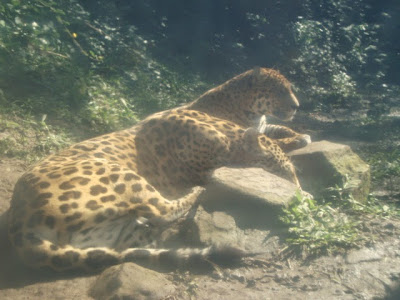 Gramado Zoo