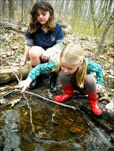 green schoolyards