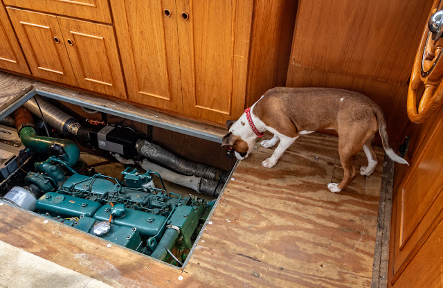 Photo of Ruby peering down into Ravensdale's engine room while Phil was working down there