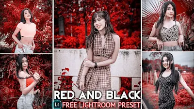 Red and black Tone Lightroom presets
