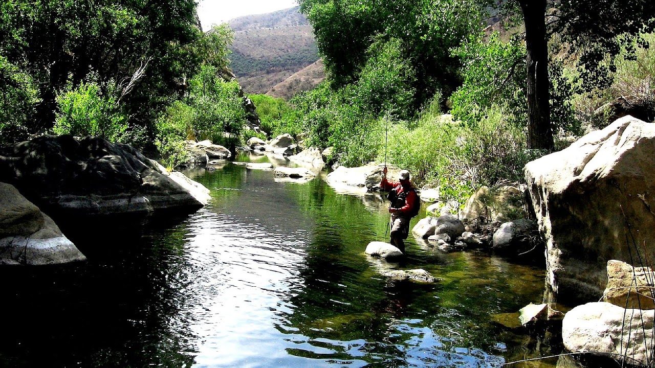 Lake Piru Fishing Report