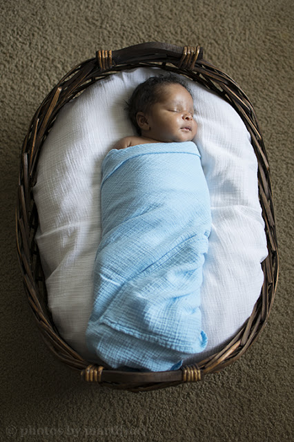 Newborn baby boy laying in a basket, photo by Martina