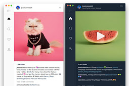 Install Ramme Di Linux, Aplikasi Instagram Desktop
