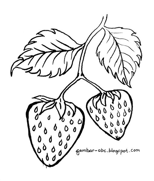Gambar Mewarnai Buah Strawberry