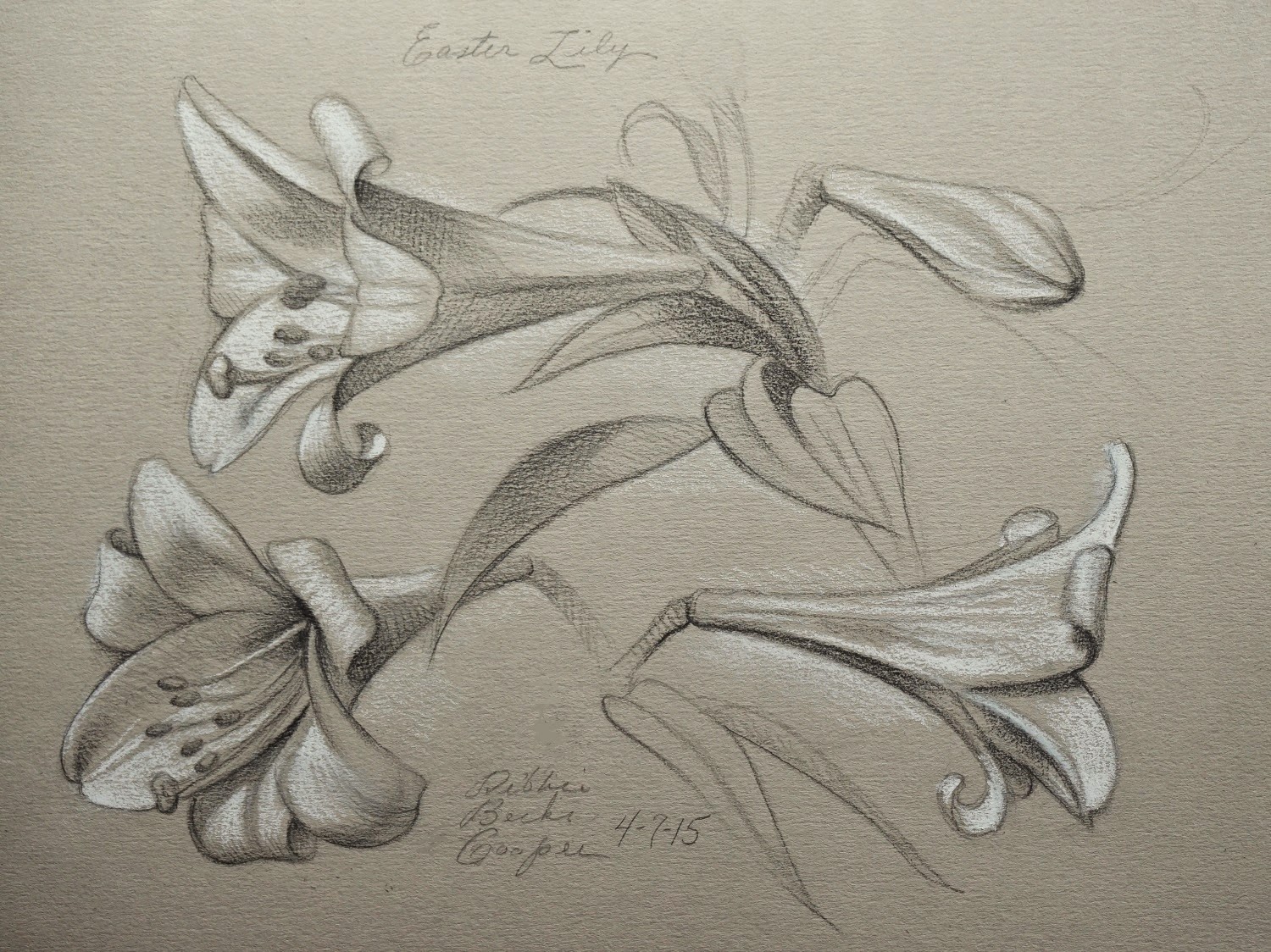 . My Drawing Journal: Easter Lily drawing