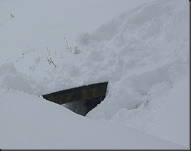 Neige A M 1 12 2010 057