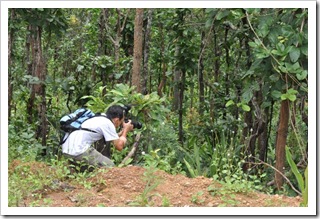 VilmaPix-gan in butting action
