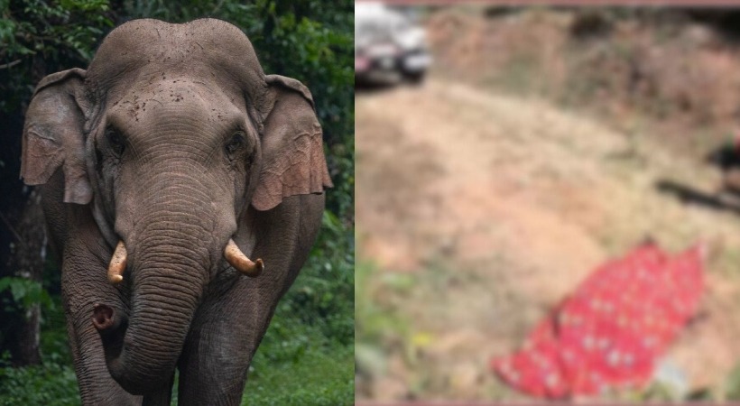സംസ്ഥാനത്ത് വീണ്ടും കാട്ടാന ആക്രമണത്തില്‍ മരണം