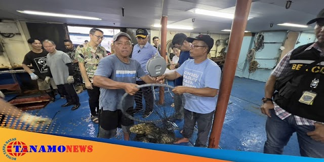 Tinjau Panen Ikan Kerapu 20 Ton di Pessel, Ini Harapan Gubernur Mahyeldi