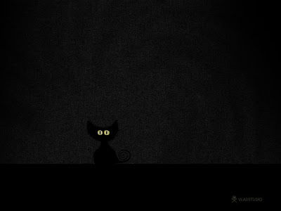 hd digital wallpapers - in the dark cat