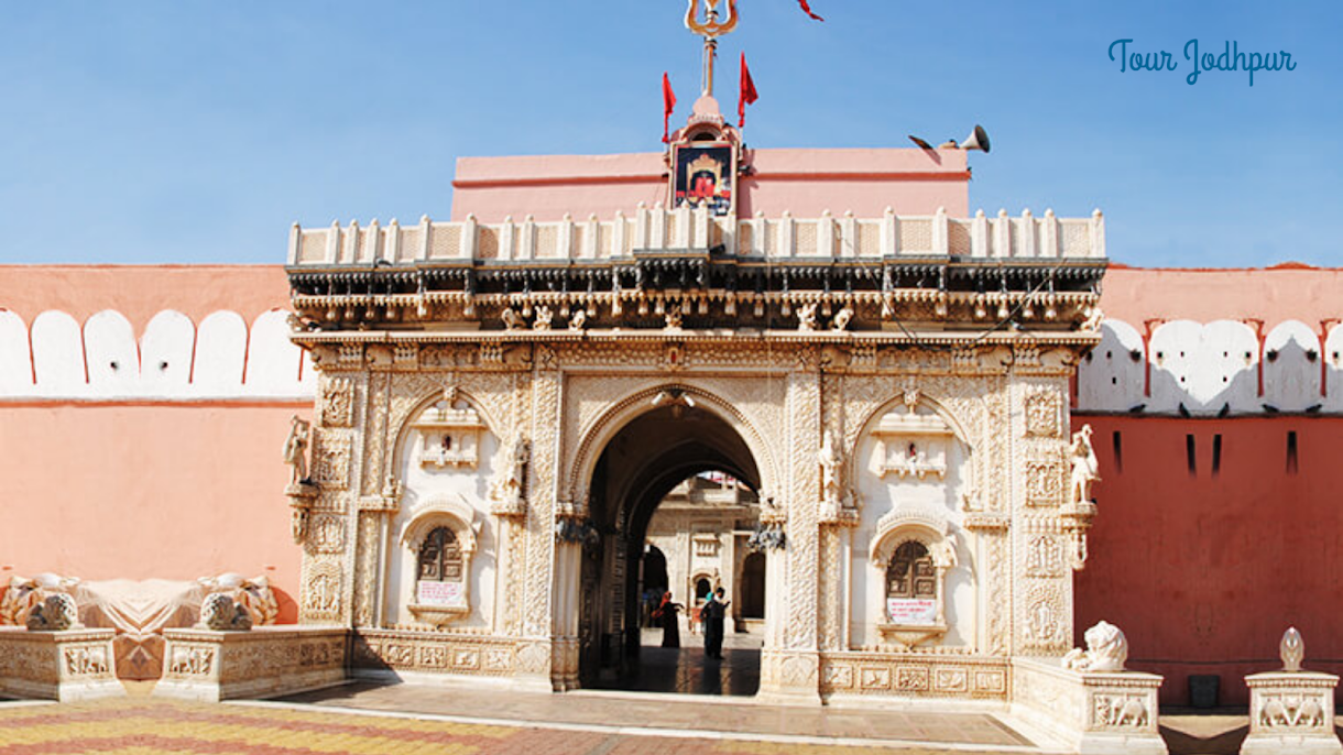 Karni Temple, Bikaner - Tour Jodhpur