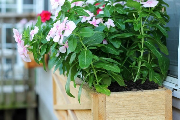 800 flower box tutorial_thumb