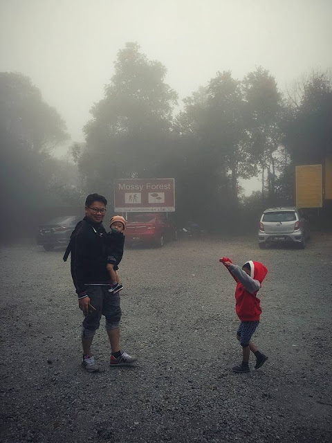 kawasan sejuk dan berlumut