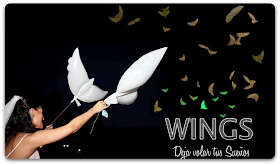 wings deja volar tus sueños (eventos de bodas)