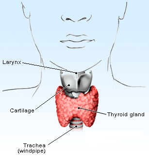IPA: Hypothyroid adalah
