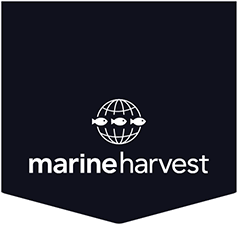 http://www.marineharvest.ca/about/news-and-media/container2015/bap-four-star/
