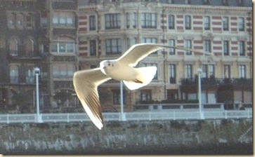 clip_image003