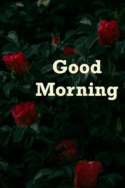 Latest Best Good Morning Wishes.