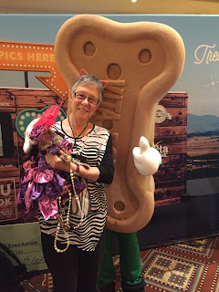 Coco, the Cornish Rex, funny photo with the VitaBone booth, at BlogPaws