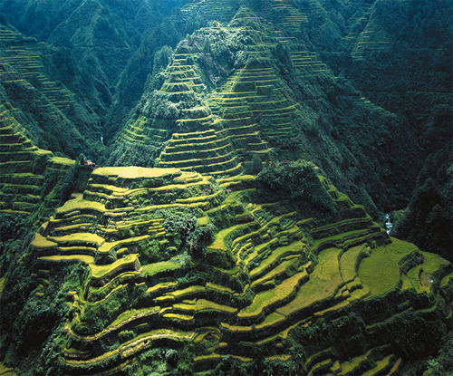 Banaue Rice Terraces